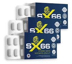 SX66 Logo